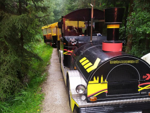 V Hradci Králové boural výletní vláček. Čtyři lidé lehce zraněni