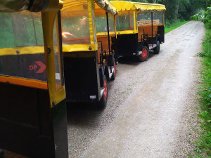 V Hradci Králové boural výletní vláček. Čtyři lidé lehce zraněni