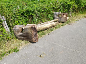 V Hořicích řádí vandalové. Nejdřív zdemolovali cyklostezku, teď sochu na Gothardu