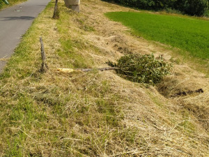 V Hořicích řádí vandalové. Nejdřív zdemolovali cyklostezku, teď sochu na Gothardu