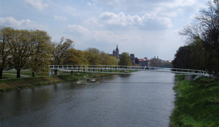 Lávka přes Labe v Hradci Králové začne růst v září. Nejdřív půjde k zemi přestárlý dub