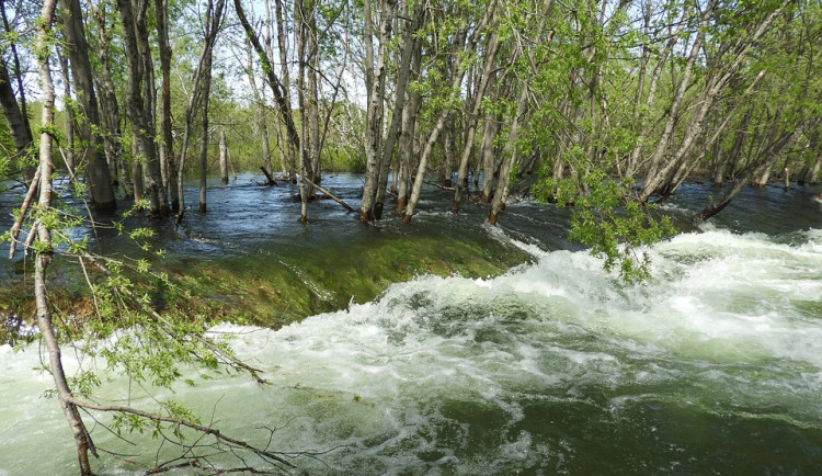 Meteorologové varují před vydatným deštěm. První srážky spadnou už dnes v noci