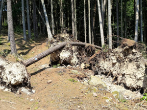 Odklízení poničeného dřeva v Krkonoších komplikuje počasí. Práce potrvají minimálně do zimy
