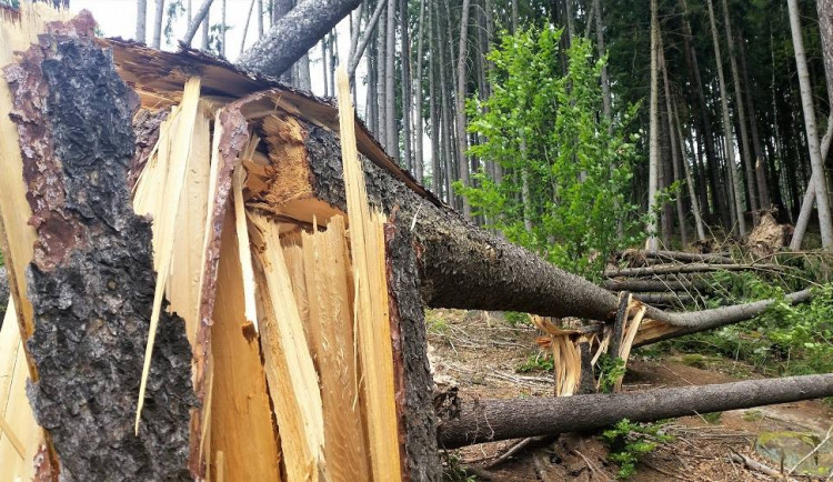 Odklízení poničeného dřeva v Krkonoších komplikuje počasí. Práce potrvají minimálně do zimy