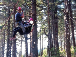 Pod Černou horou spadla paraglidistka, zůstala viset deset metrů nad zemí