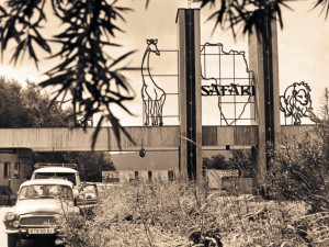 O víkendu slaví Safari Park narozeniny. Zoologická zahrada funguje 75 let