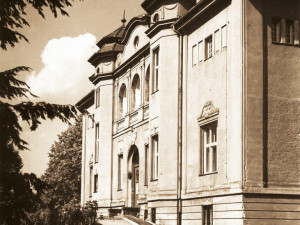 O víkendu slaví Safari Park narozeniny. Zoologická zahrada funguje 75 let