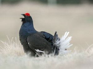 V Krkonošském národním parku nainstalovali zábrany proti motorkám a skútrům