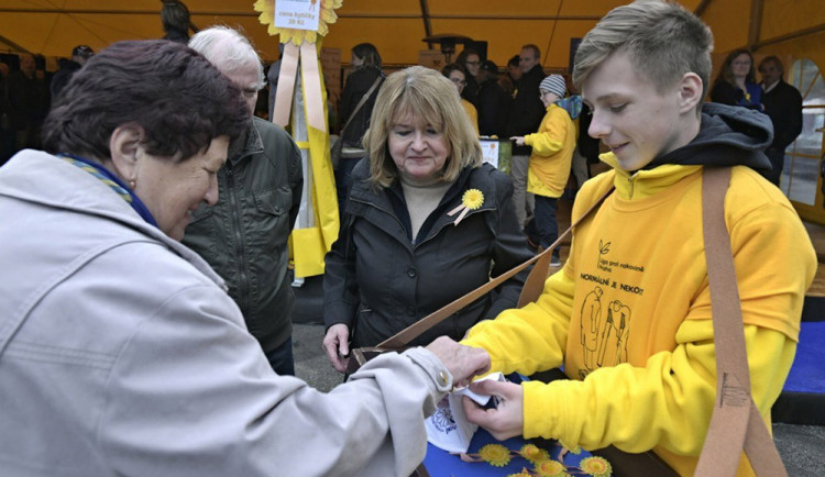 Žluté kytičky po pětadvacáté. Sbírka na boj s rakovinou letos potrvá déle