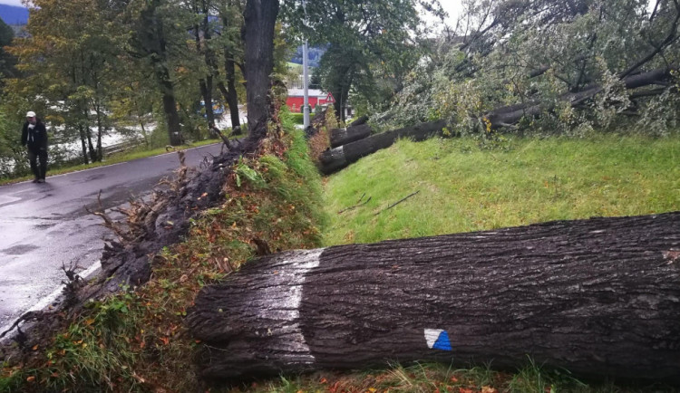 Meteorologové vydávají varování před silným větrem. Nejhorší situace bude na horách
