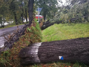 Meteorologové vydávají varování před silným větrem. Nejhorší situace bude na horách