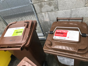 V Hradci se na zkoušku začíná třídit gastroodpad. Patří sem zbytky jídel nebo prošlé potraviny