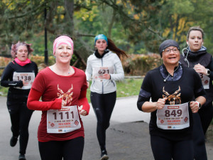 Safariběh ve Dvoře Králové podpořil záchranu antilop. Vybralo se přes čtvrt milionu korun
