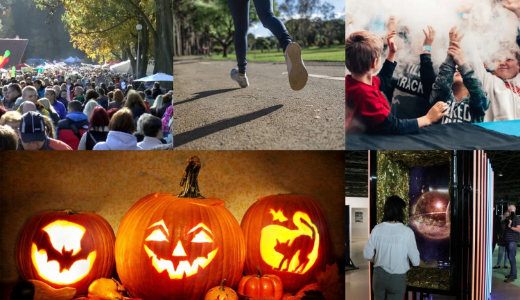 Kam o víkendu na jižní Moravě? Na Dýňové odpoledne i vědátorskou přehlídku