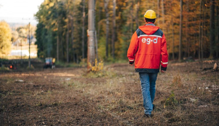 EG.D zavádí řízenou výsadbu rostlin kolem vedení. Má minimalizovat kácení kvůli dodržení ochranného pásma