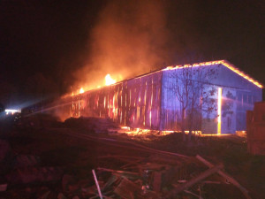 V Dolním Lánově na Trutnovsku hořela hala se senem. Na místě zasahovalo osm jednotek hasičů, přesto objekt lehl popelem