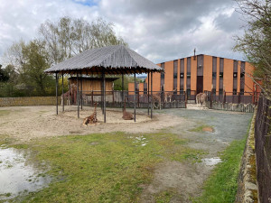 Safari Park hlásí rekordní návštěvnost. Od začátku roku přišlo přes půl milionu návštěvníků