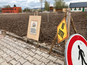 Safari Park hlásí rekordní návštěvnost. Od začátku roku přišlo přes půl milionu návštěvníků