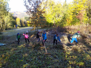 Několik dobrovolníků posekalo mokřady nad Valteřicemi. Snaží se o návrat vzácných živočichů