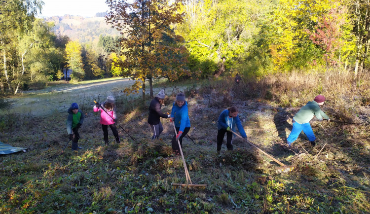 Několik dobrovolníků posekalo mokřady nad Valteřicemi. Snaží se o návrat vzácných živočichů