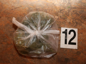 Přes tisícovku rostlin a ubalených jointů zabavila policie dealerům. Pro ně si přišla zásahovka