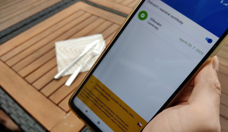 Za padělání covid certifikátů mohou hrozit až tři roky vězení