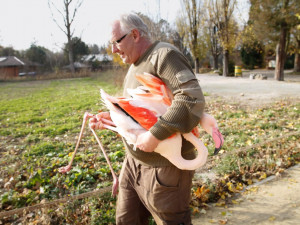 Zoologická zahrada zažila velké stěhování. Stovka růžových plameňáků má nový domov