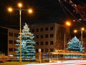 Hradec Králové a Trutnov dostanou své vánoční stromy. Rozsvítí se přesně za týden