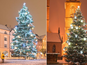 ANKETA: Je hezčí strom na Velkém nebo Masarykově náměstí?