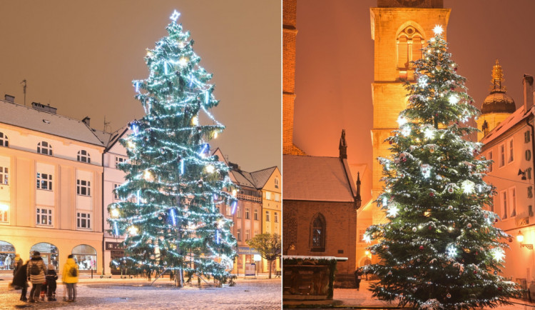 ANKETA: Je hezčí strom na Velkém nebo Masarykově náměstí?