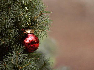 Policie hledá vánočního zloděje. Vlezl na cizí zahradu a očesal nazdobený strom