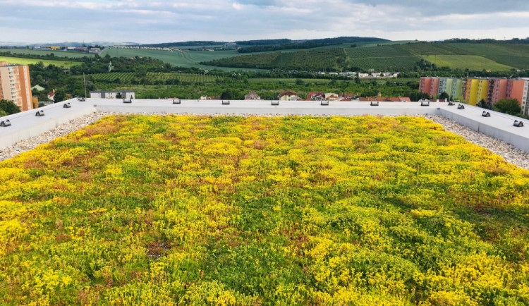 Brno podpoří desítkami milionů korun zelené střechy