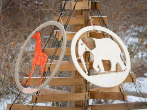 Safari Park ve Dvoře Králové zahajuje vánoční sezonu. Upraví cenu vstupného i otevírací dobu