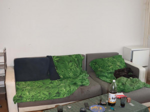 Policie v Hradci Králové zatkla dealera drog. V bytě schovával dvě celostátně hledané nezletilé osoby