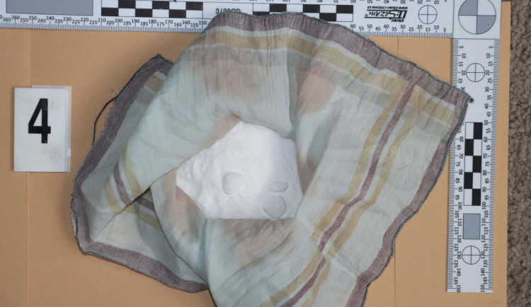 Policie v Hradci Králové zatkla dealera drog. V bytě schovával dvě celostátně hledané nezletilé osoby