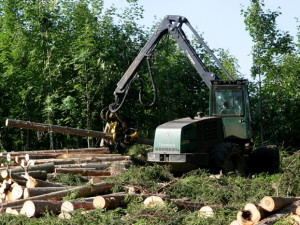 Lesy ČR zvýší investice na opravu poničených lesních cest