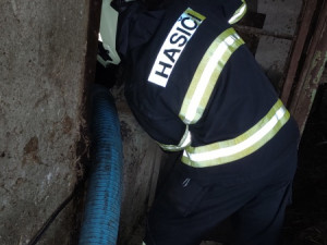 Zvědavá kráva skočila do silážní věže. Ven se dostala až s pomocí hasičů