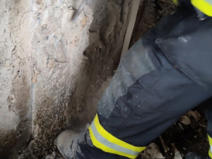 Zvědavá kráva skočila do silážní věže. Ven se dostala až s pomocí hasičů