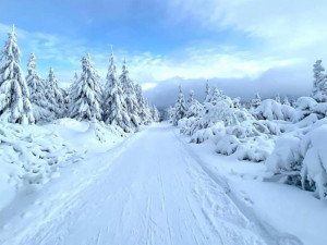 Už víte, kam letos na hory? Což takhle do Orlických hor?