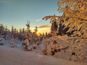 Už víte, kam letos na hory? Což takhle do Orlických hor?