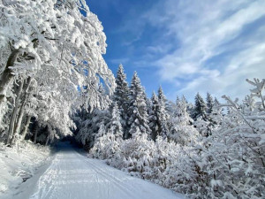 Už víte, kam letos na hory? Což takhle do Orlických hor?