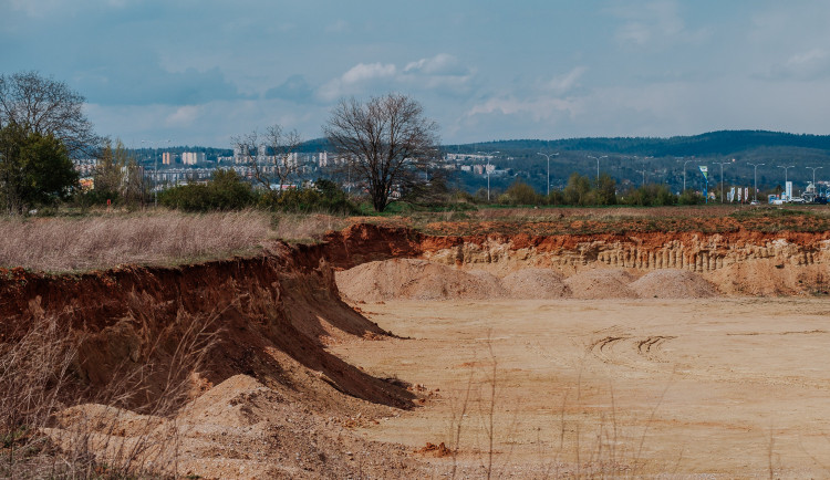 Černovická pískovna se otevře lidem. Podmínkou je ochrana vzácných ptáků
