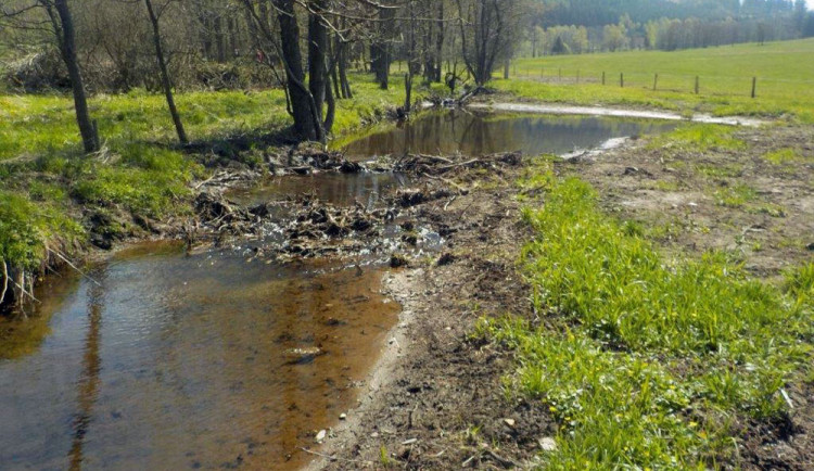 Zadržet co nejvíc vody v krajině. Cíl projektu Vracíme vodu lesu se daří naplňovat
