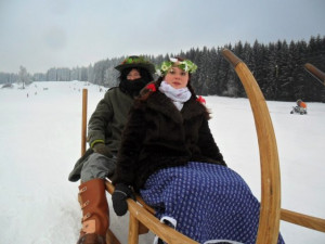 V Orlickém Záhoří závodili nadšenci na historických saních. Rohačky jsou součástí místní historie