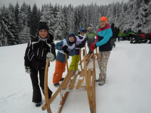 V Orlickém Záhoří závodili nadšenci na historických saních. Rohačky jsou součástí místní historie