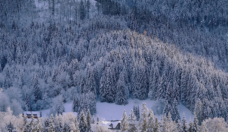 V Labském dole v Krkonoších je 1,4 metru sněhu. Na začátek února jde o nadprůměr