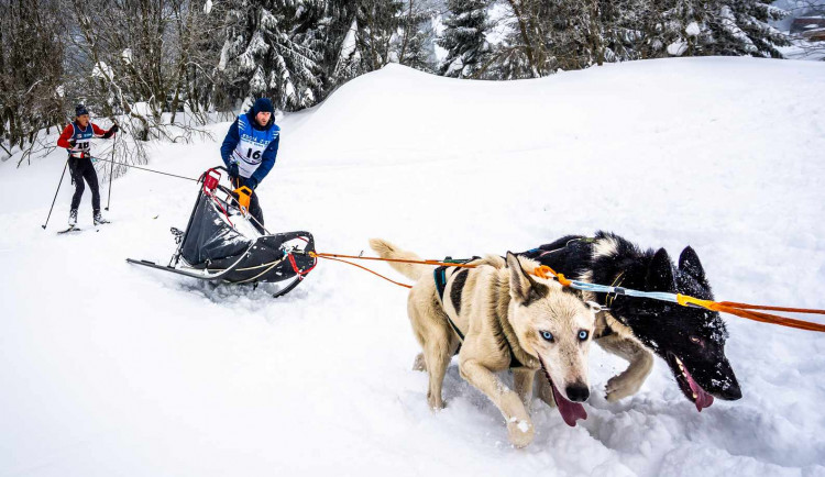 Na závody psích spřežení, na venkovní kluziště nebo na procházku města s Gočárem zve nadcházející víkend