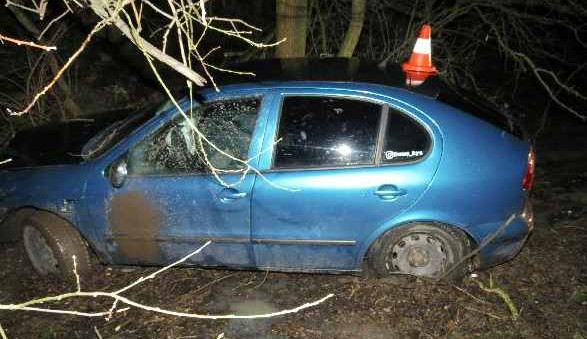 Devatenáctiletý mladík popil a sedl za volant. V zatáčce narazil do stromu a zranil spolujezdce
