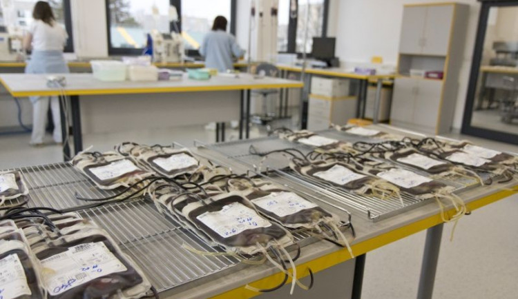 Transfuzní oddělení hradecké nemocnice provedlo přes 17 tisíc odběrů krve. Stále však shání prvodárce