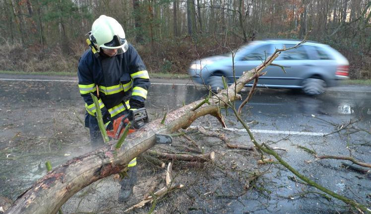 Jižní Čechy zasáhl silný vítr. Lidé jsou bez elektřiny, hasiči řeší nehody i popadné stromy